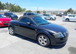 TRUTX28N221007183: 42613744