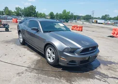 1ZVBP8AM9E5252163: 42616904