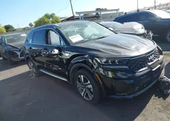 KNDRMDLG3P5149429: 42624522