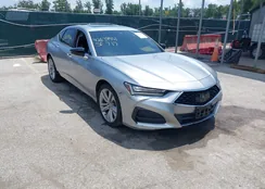 19UUB6F41MA008781: 42634551