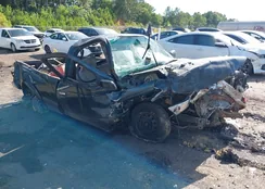 4TANL42N6VZ241816: 42635559