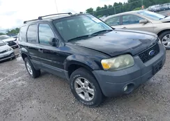 1FMYU03167KB91459: 42640736