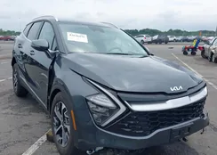 KNDPVCAG1P7110909: 42646436