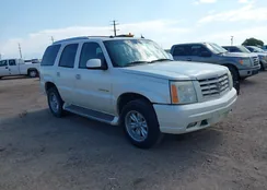 1GYEK63N05R118430: 42647437