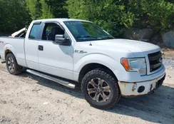 1FTFX1EF8DFD54036: 42649814