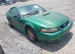 1FAFP40481F145646: 42655077