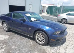 1ZVBP8AM6C5248214: 42660567