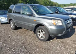 5FNYF186X8B013688: 42661954