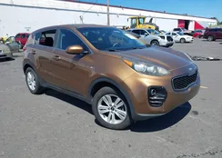 KNDPMCAC6H7069565: 42662094