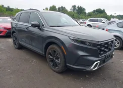 7FARS6H95PE035916: 42662193