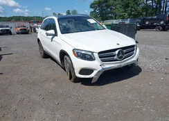 WDC0G4KB4HF176795: 42667963