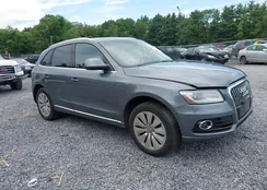 WA1C8AFP5DA039418: 42669660