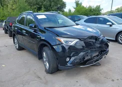 JTMDJREV2GD028702: 42673120