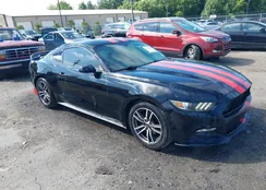 1FA6P8TH9G5218480: 42674865