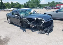 1FA6P8TH2F5374682: 42680265