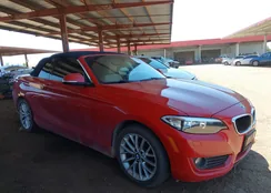 WBA1K5C5XFV473819: 42693040