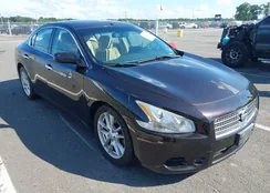 1N4AA5AP1BC858711: 42707147