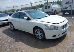 1N4AA5APXEC910681: 42712525