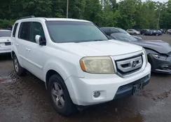 5FNYF48519B009894: 42719537