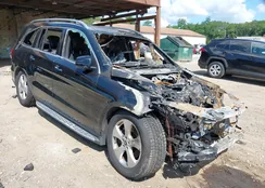 4JGDF6EE1JB025692: 42724296