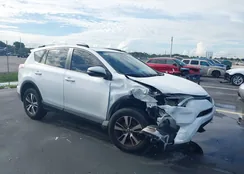 JTMWFREVXHD105764: 42729752