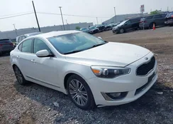 KNALN4D70E5133944: 42730137