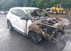 KM8J3CAL0LU096520: 42738522