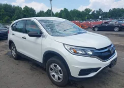 5J6RM4H33GL124557: 42739588