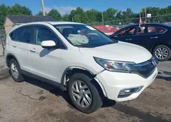 5J6RM4H50GL113923: 42740808