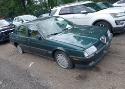 ZAREA43L7M6179954: 42740920