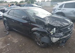 KNAFU6A26C5527224: 42751683