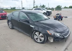 KNAGN4AD5G5098770: 42762419