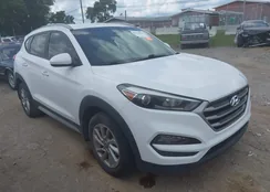 KM8J33A43HU586983: 42770438