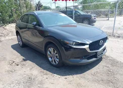 3MVDMBDM9PM576979: 42772265