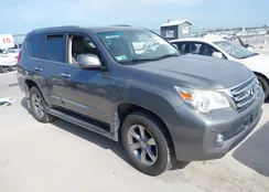 JTJJM7FX8D5054500: 42778884