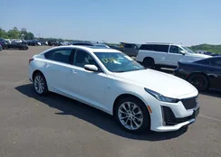 1G6DS5RK1P0157420: 42781147