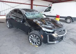 1G6DS5RK6P0143397: 42784811