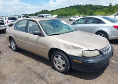 1G1ND52F65M176942: 42790729