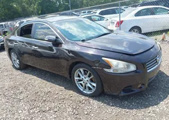 1N4AA5AP8AC823971: 42797909