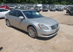 1N4BA41E34C824902: 42800286