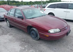 2G1WL52M1X9106528: 42808006