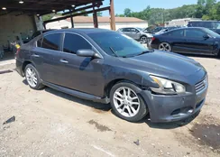 1N4AA5AP6AC848660: 42811660