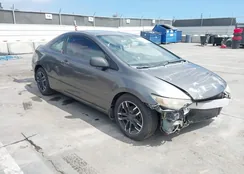 2HGFG12659H522257: 42817667