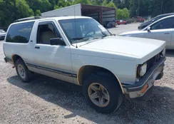 1GNCS18W3R0110485: 42822345