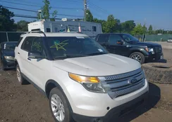 1FM5K8D89DGC78323: 42832511