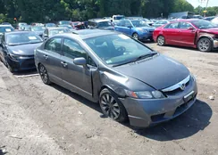 2HGFA1F83BH540954: 42840580