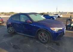 ZASPAKBN0N7D47317: 42845733