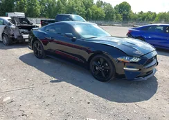 1FA6P8TH9N5121860: 42850162