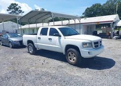 1D7RE3GK5BS511881: 42855175