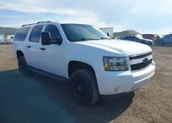 1GNWKLEG5BR151353: 42862759